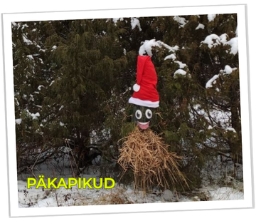 Rõõmus päkapikk lumises metsas - tegime ise okstest ja heinast.